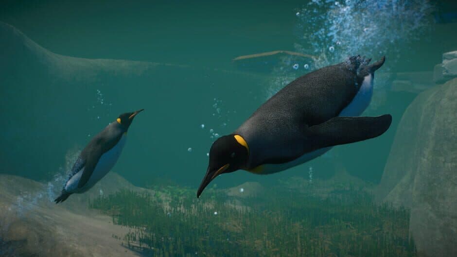 Planet Zoo - Aquatic Pack screenshot 2