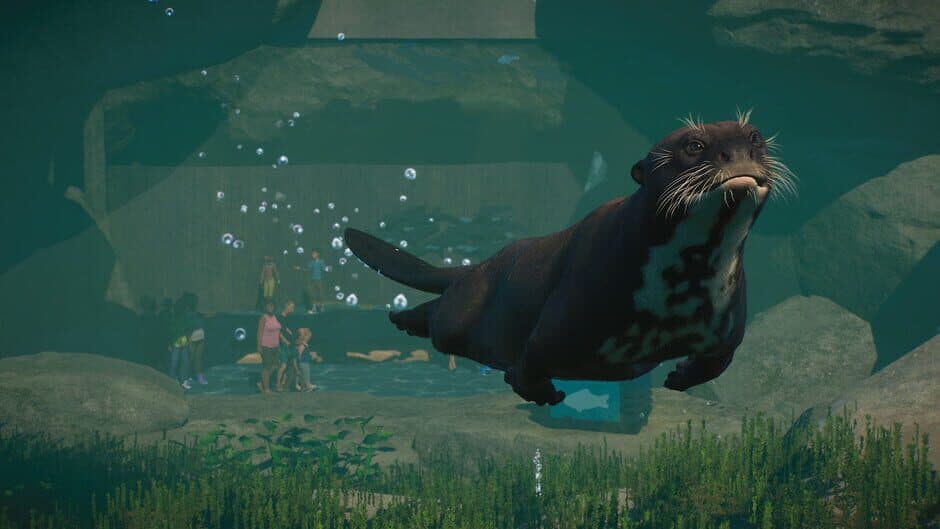 Planet Zoo - Aquatic Pack screenshot 5