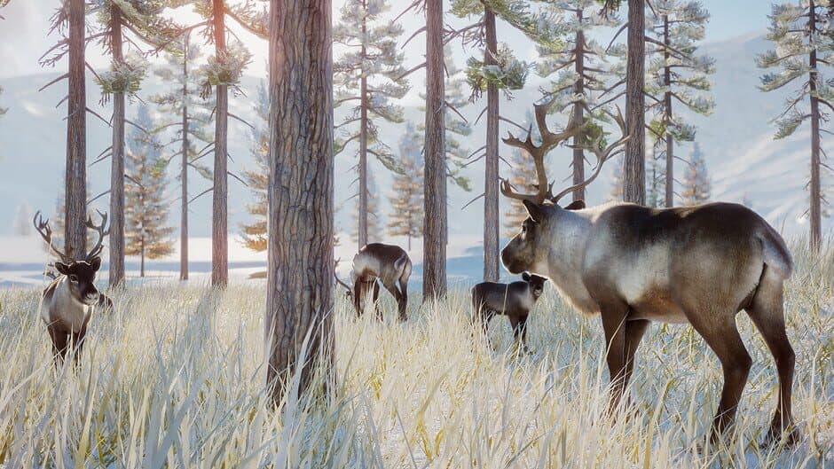 Planet Zoo - Arctic Pack screenshot 3