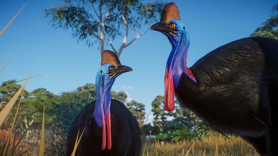 Planet Zoo - Australia Pack screenshot 4