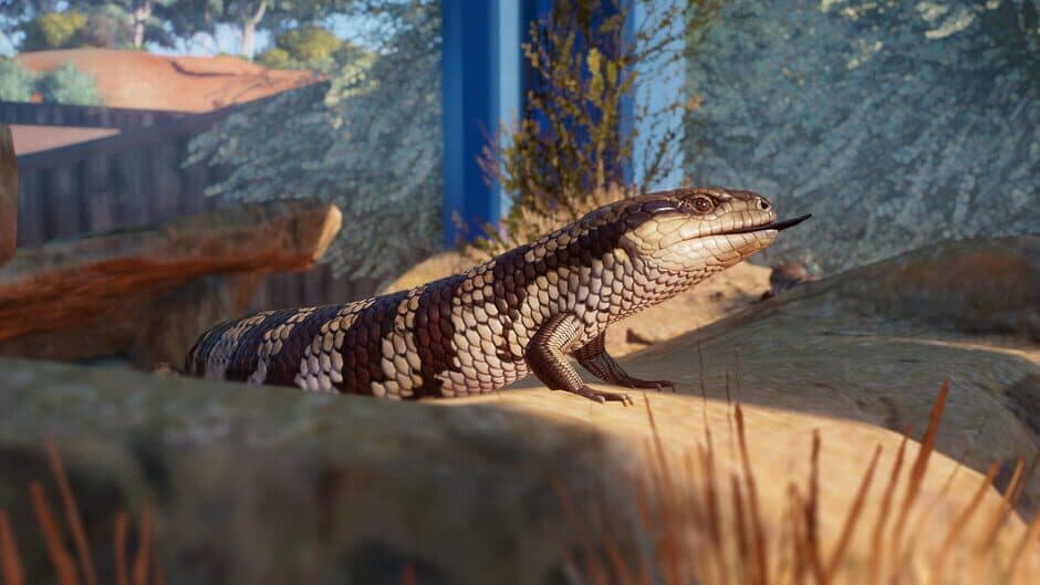 Planet Zoo - Australia Pack screenshot 6