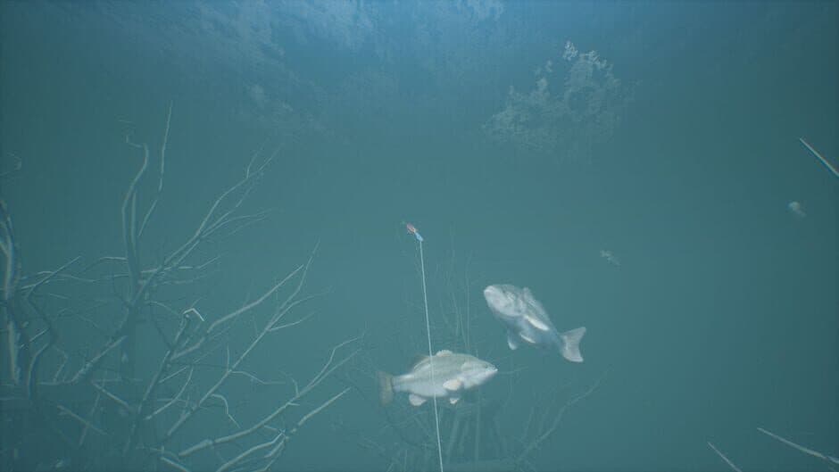 Bassmaster Fishing 2022 - Bassmaster Classic screenshot 5