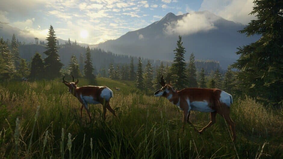 theHunter: Call of the Wild - Master Hunter Bundle screenshot 5
