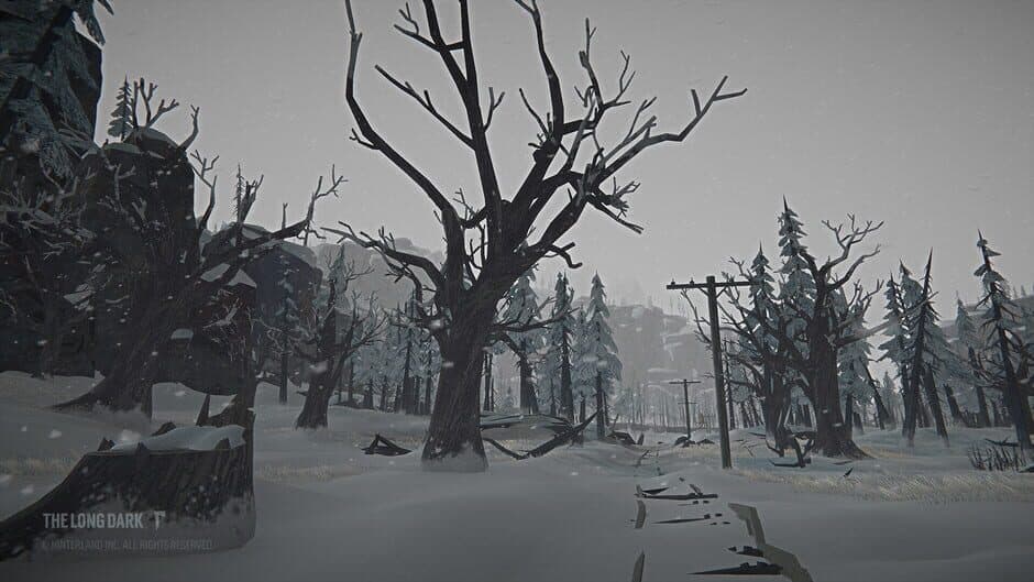 The Long Dark - Tales from the Far Territory screenshot 3