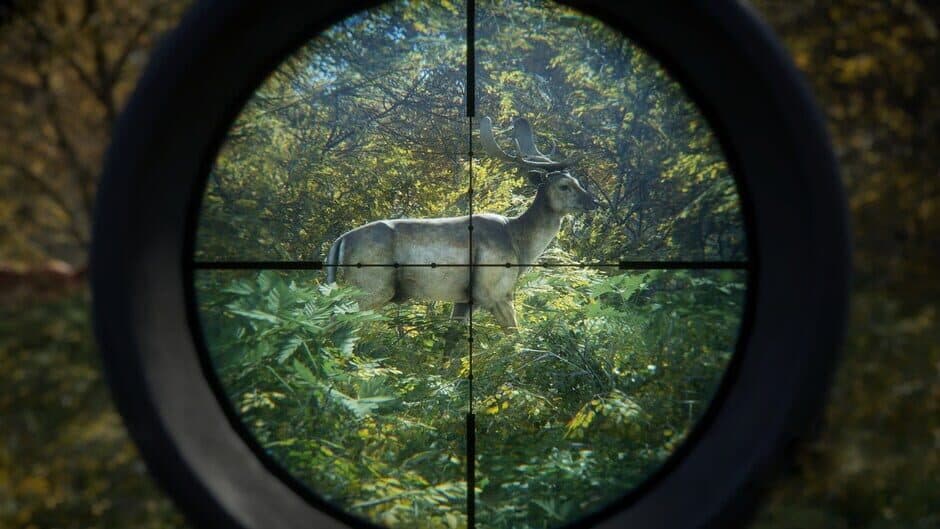 theHunter: Call of the Wild - Greenhorn Bundle screenshot 1