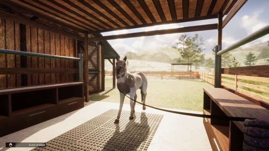 Animal Shelter: Horse Shelter screenshot 3