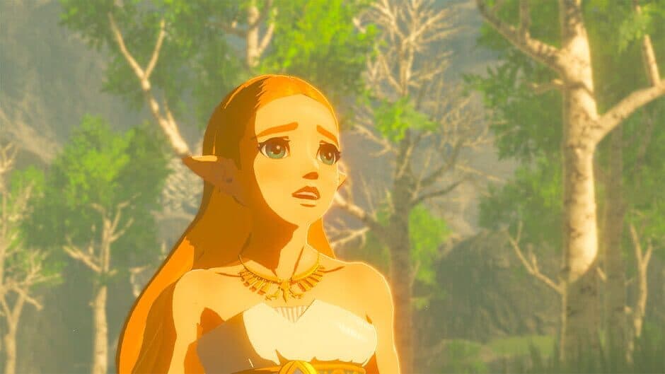 The Legend of Zelda Breath of the Wild Expansion Pass screenshot 1