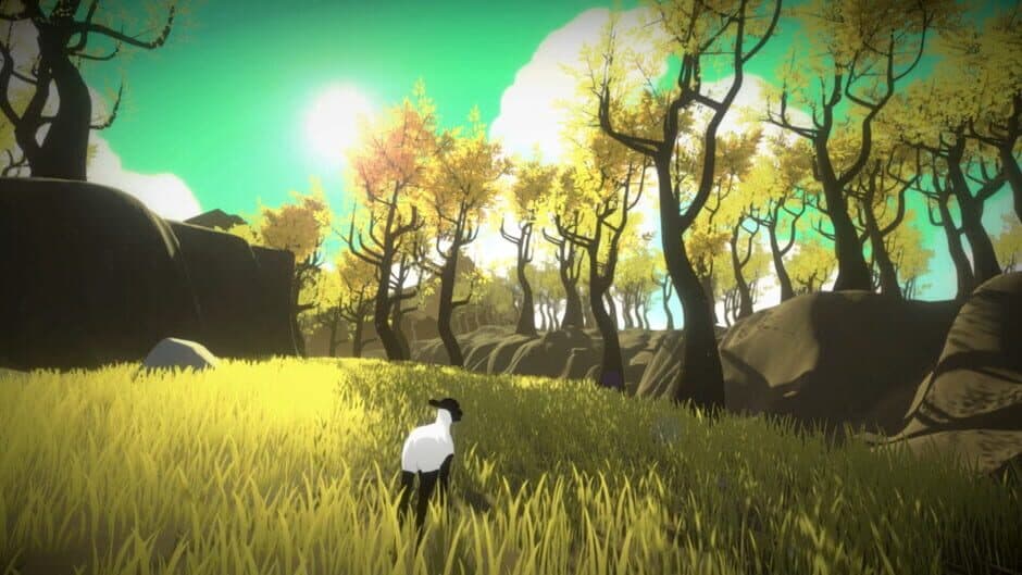 The Lost Sheep screenshot 3