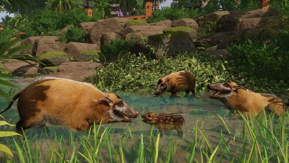 Planet Zoo - Tropical Pack screenshot 2