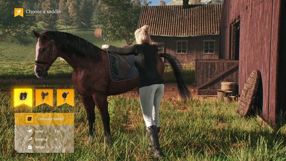 My Horse: Bonded Spirits screenshot 5