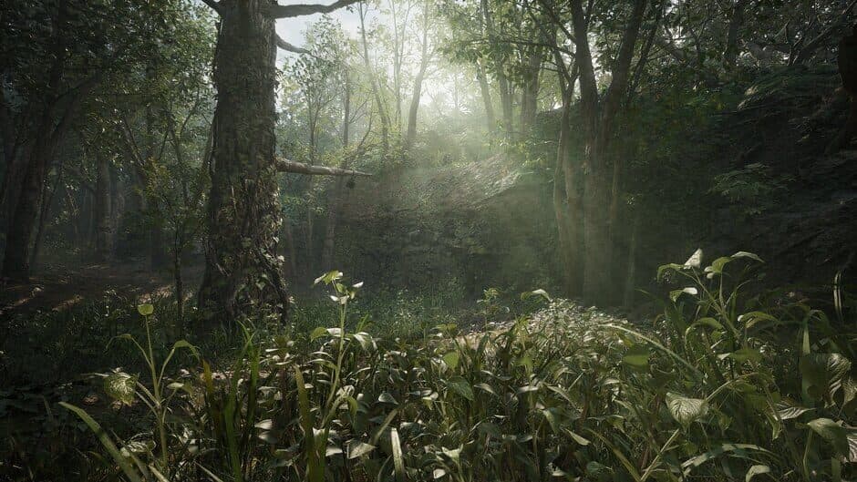 METAL GEAR SOLID Δ: SNAKE EATER screenshot 2