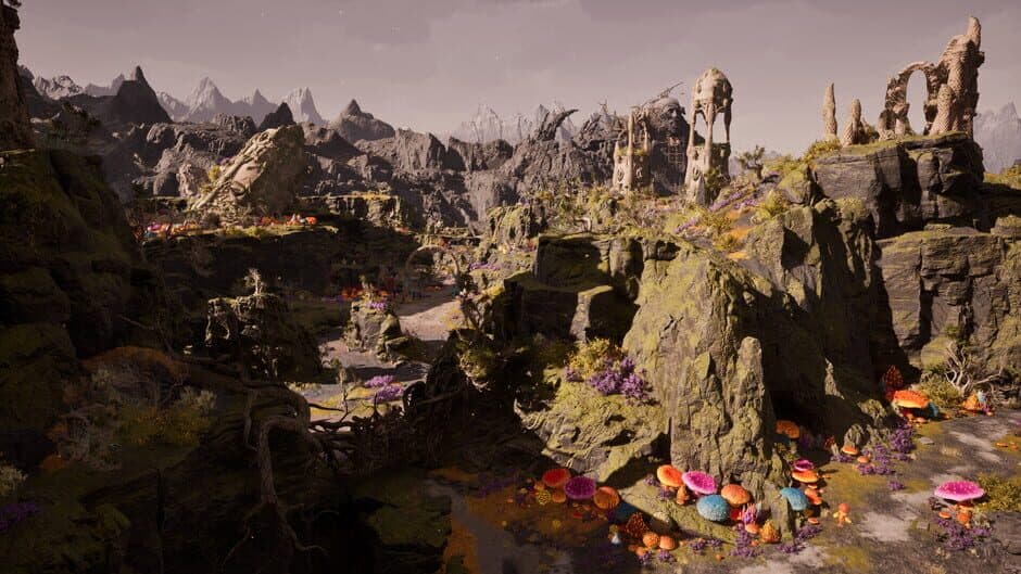 Avowed screenshot 6