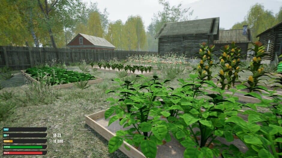 Russian Village Simulator screenshot 6