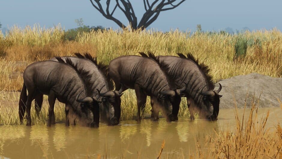 Planet Zoo - Grasslands Animal Pack screenshot 2