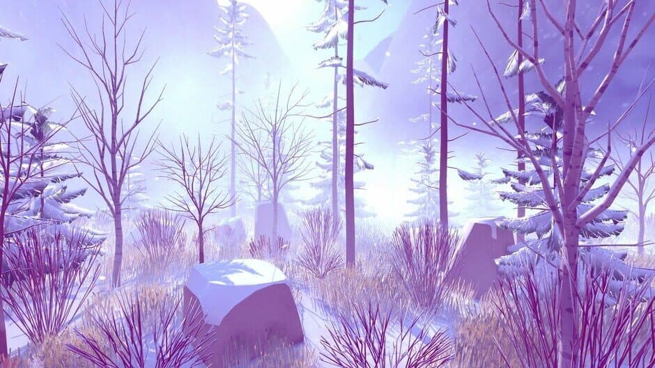 Winter Valley Hike screenshot 4