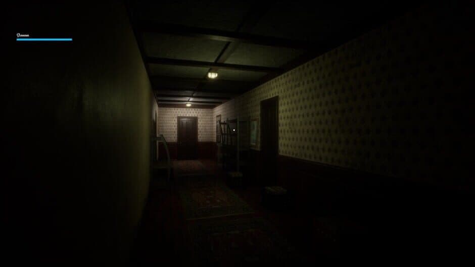 Veranoia: Nightmare of Case 37 screenshot 4