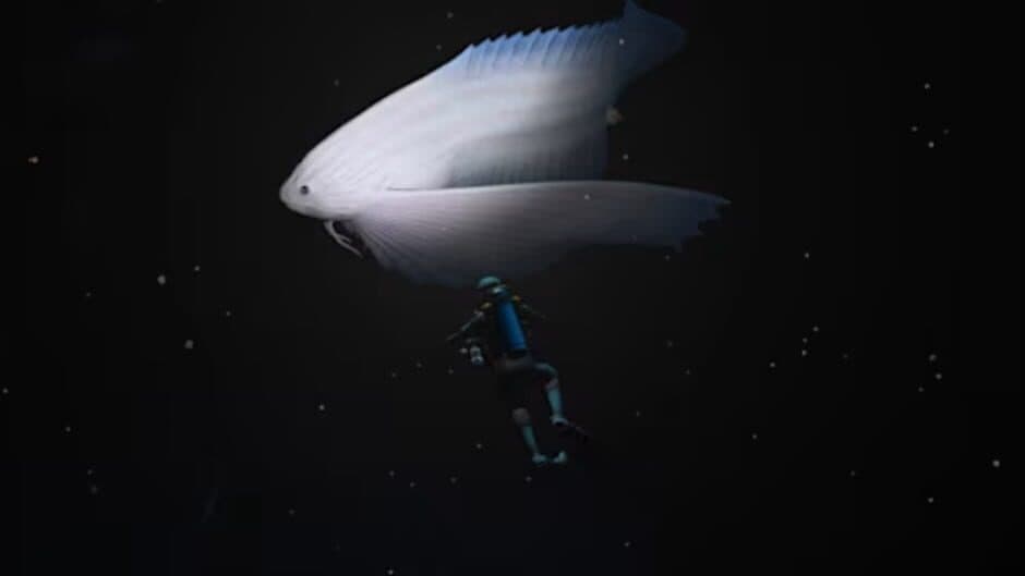 Endless Ocean Luminous screenshot 4