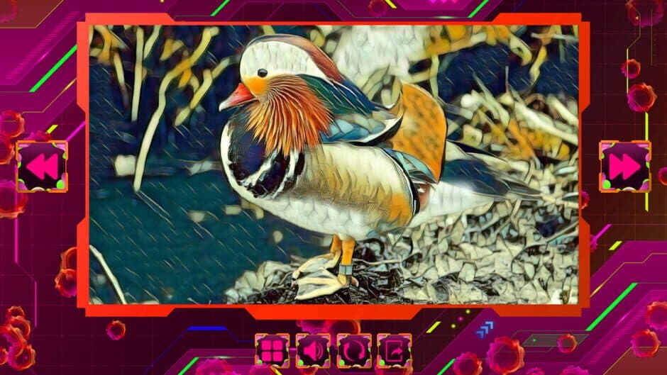 Twizzle Puzzle: Birds screenshot 6
