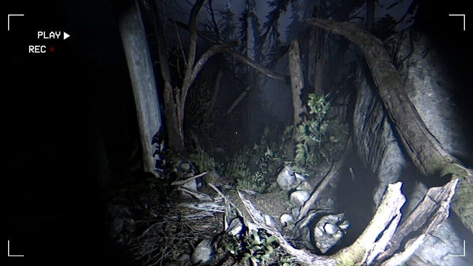 Together After Dark screenshot 1