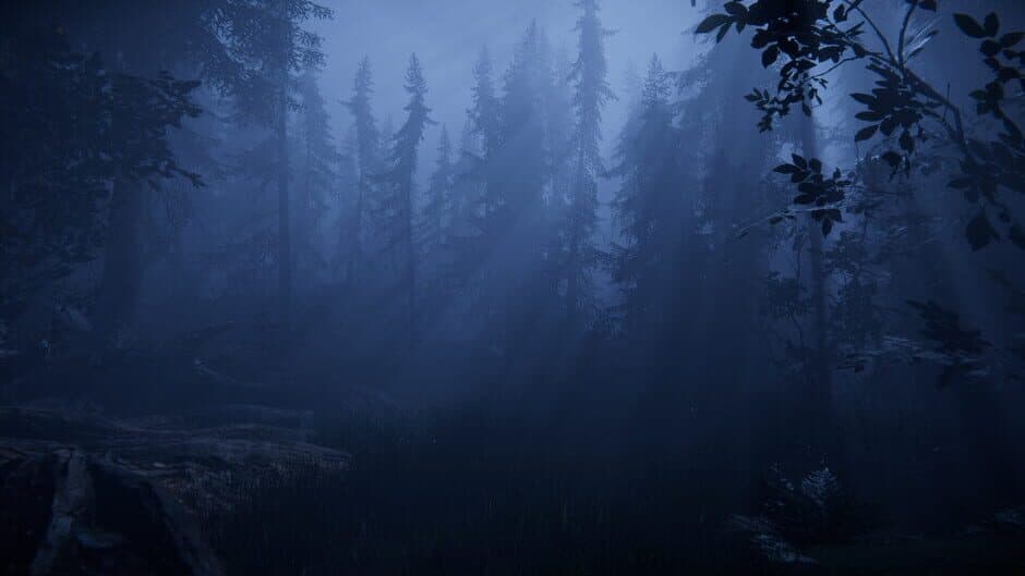 Together After Dark screenshot 3