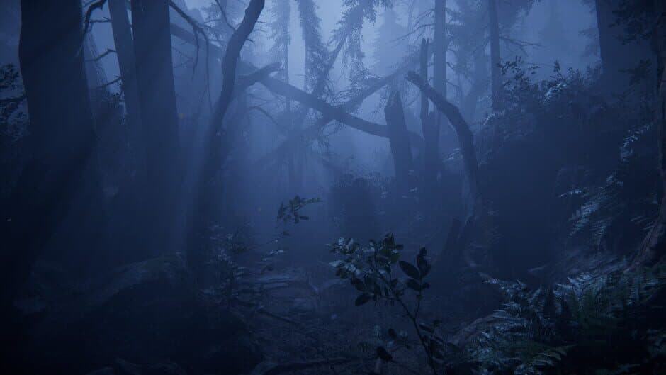 Together After Dark screenshot 4