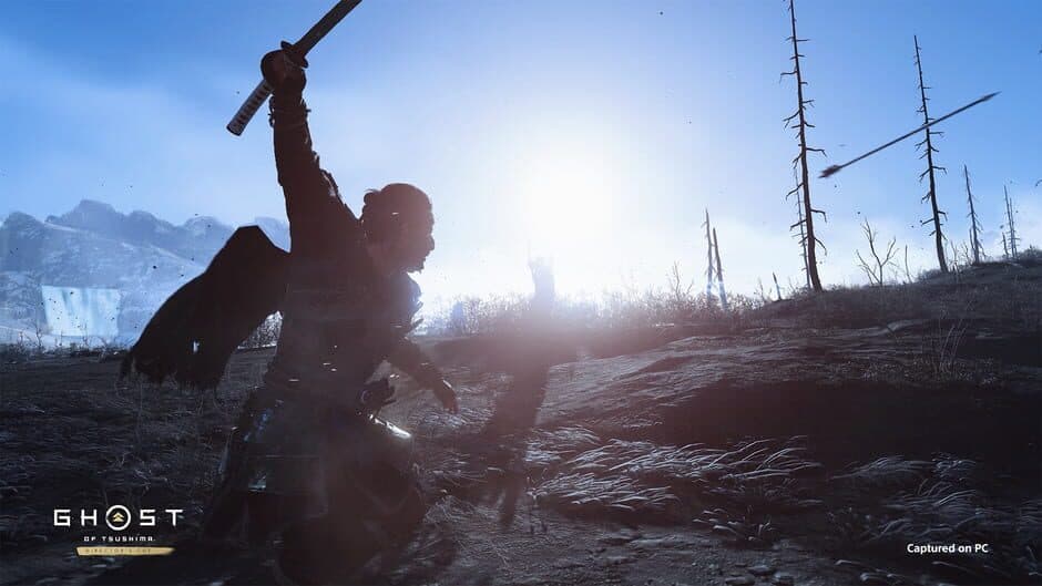 Ghost of Tsushima: Director`s screenshot 6