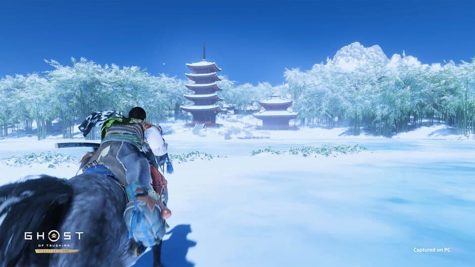 Ghost of Tsushima: Director`s screenshot 5