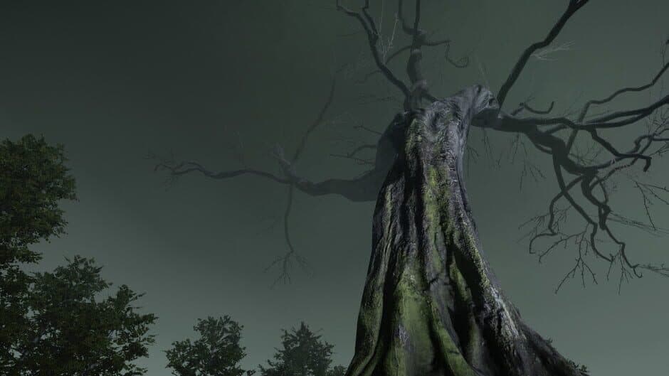 The Witch's Redemption screenshot 1