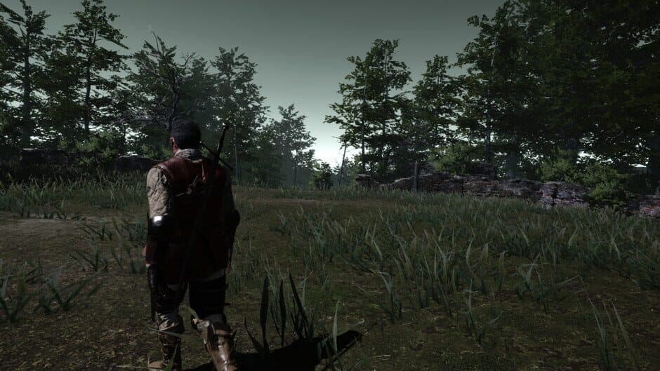 The Witch's Redemption screenshot 3