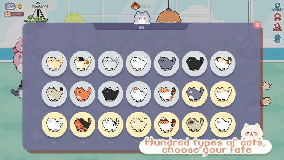 Cat And Life screenshot 3