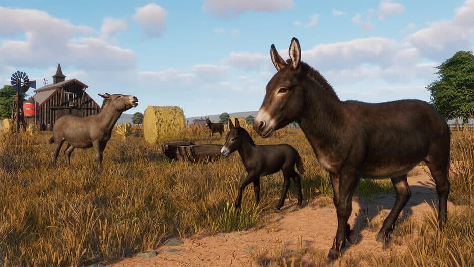 Planet Zoo - Barnyard Animal Pack screenshot 4