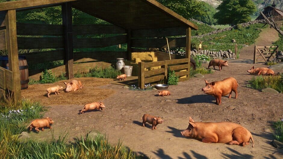 Planet Zoo - Barnyard Animal Pack screenshot 5