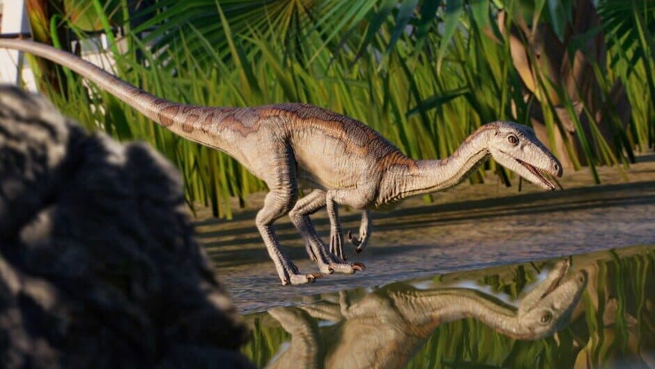 Jurassic World Evolution 2 - Park Managers' Collection Pack screenshot 5