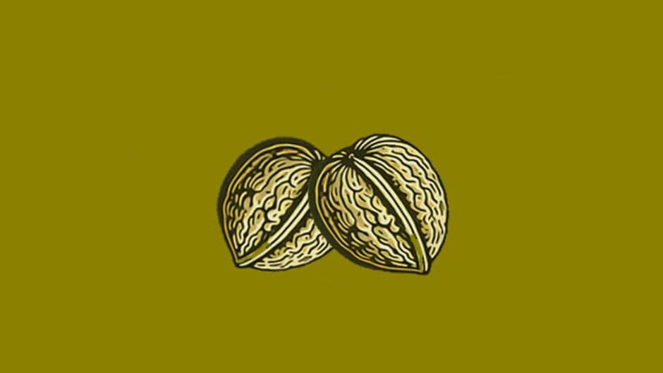 Nuts screenshot 2
