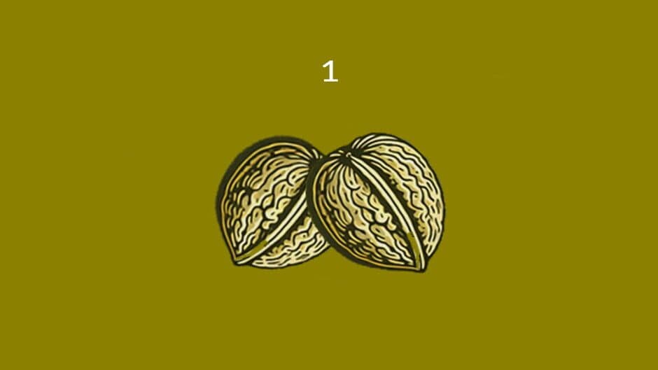 Nuts screenshot 4
