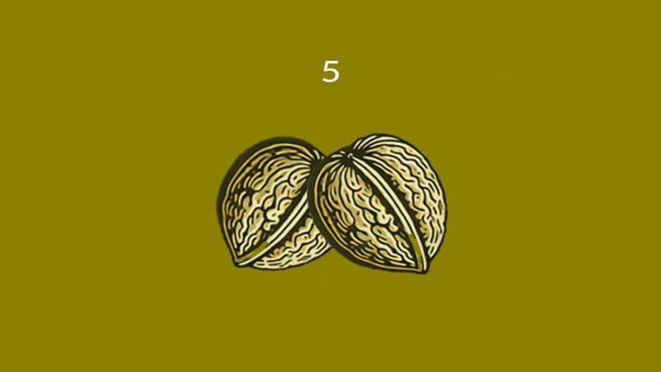 Nuts screenshot 1