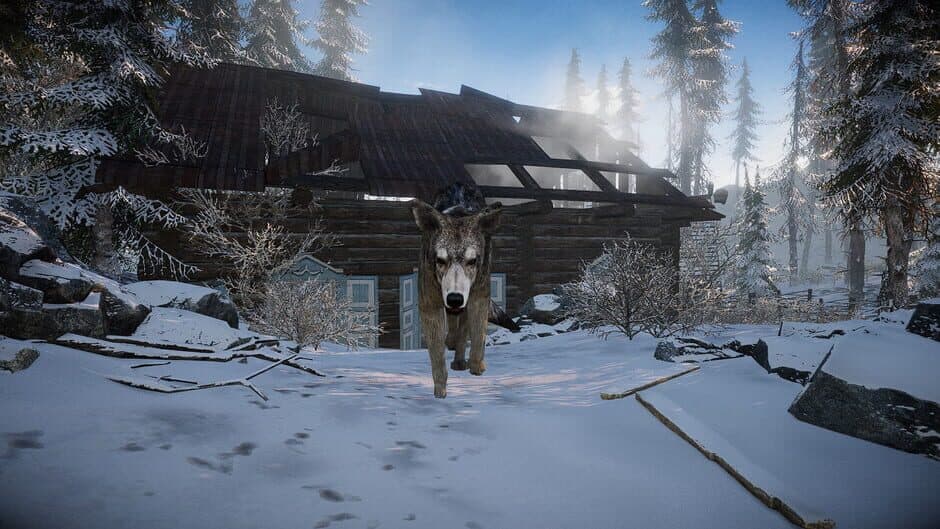Short Snow screenshot 1