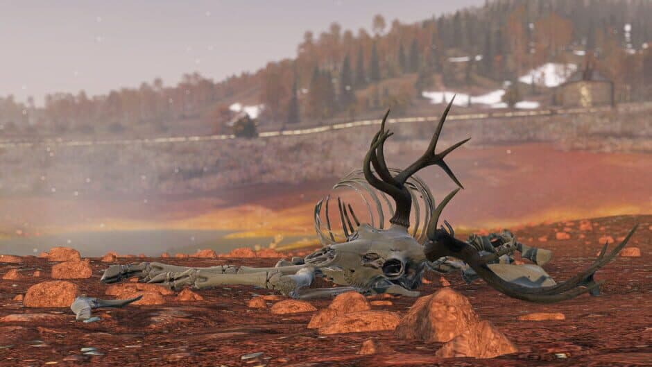 DayZ - Frostline screenshot 3