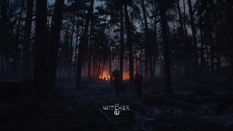 The Witcher screenshot 1