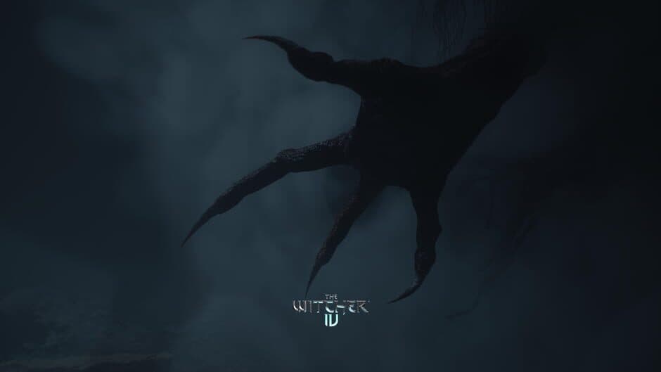 The Witcher screenshot 2