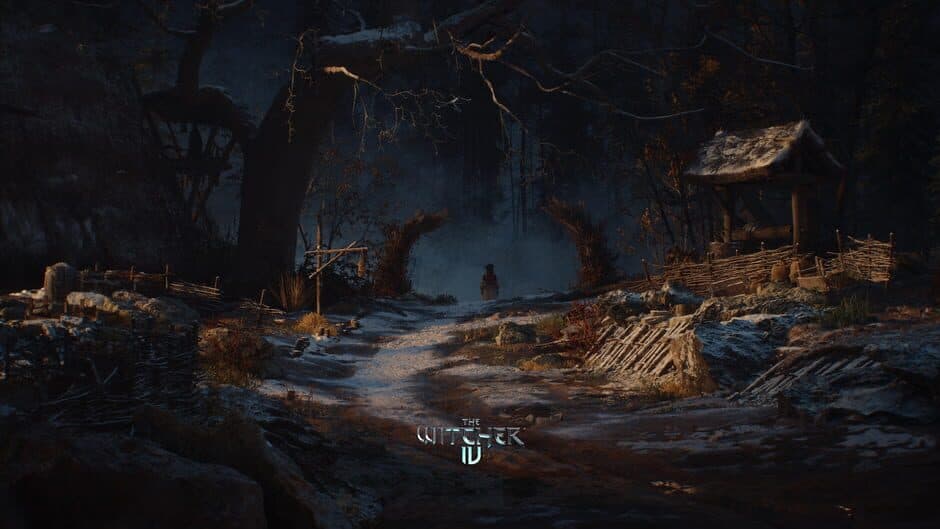 The Witcher screenshot 3