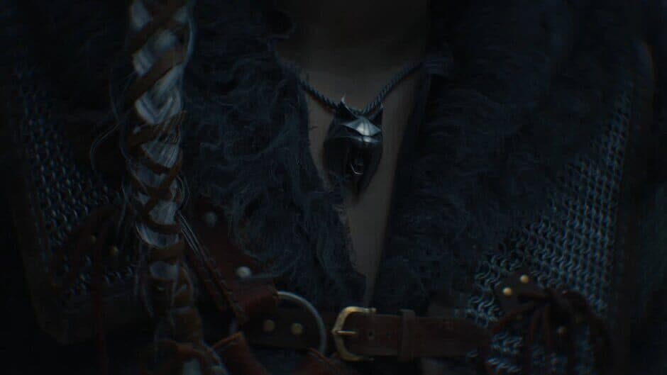 The Witcher screenshot 4