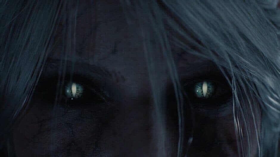 The Witcher screenshot 5