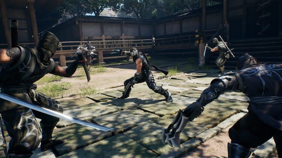 Ninja Gaiden 2: Black screenshot 2