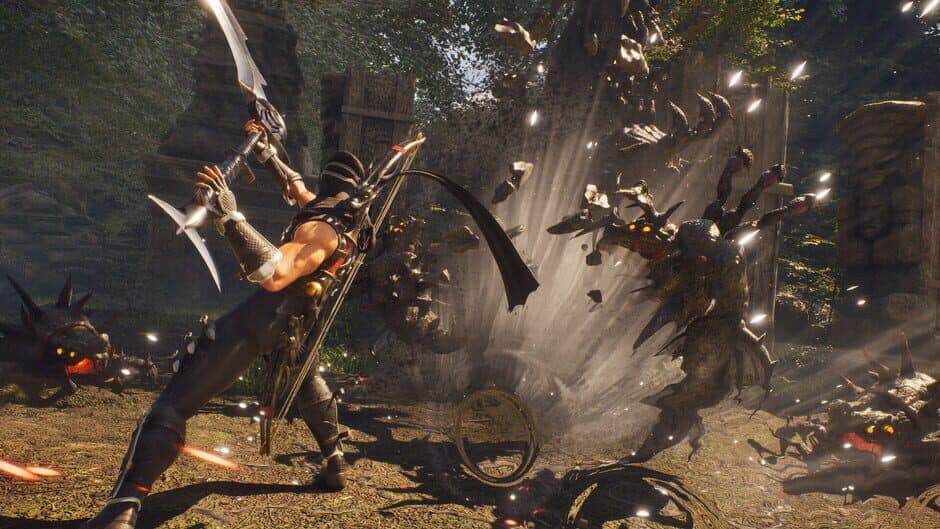 Ninja Gaiden 2: Black screenshot 3