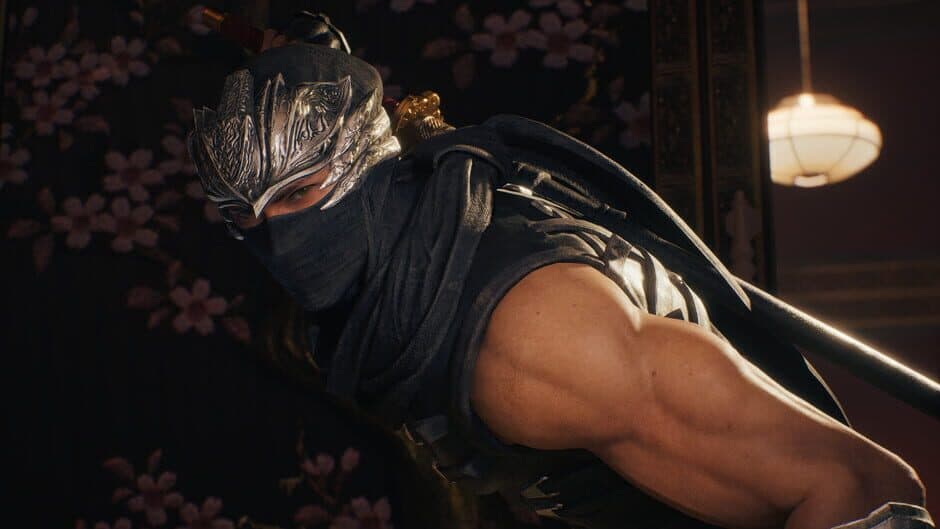 Ninja Gaiden 2: Black screenshot 4