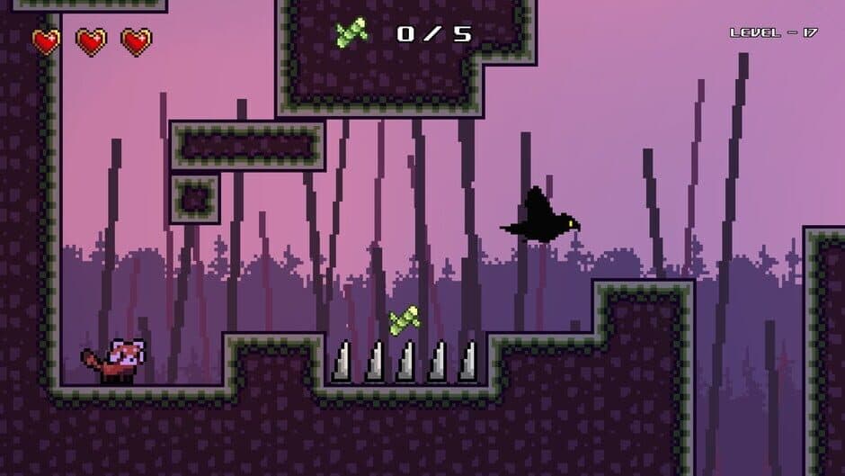 Red Panda is Hungry screenshot 1