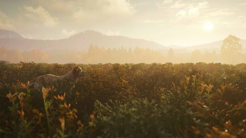 theHunter: Call of the Wild - Ultimate Hunting Bundle screenshot 2