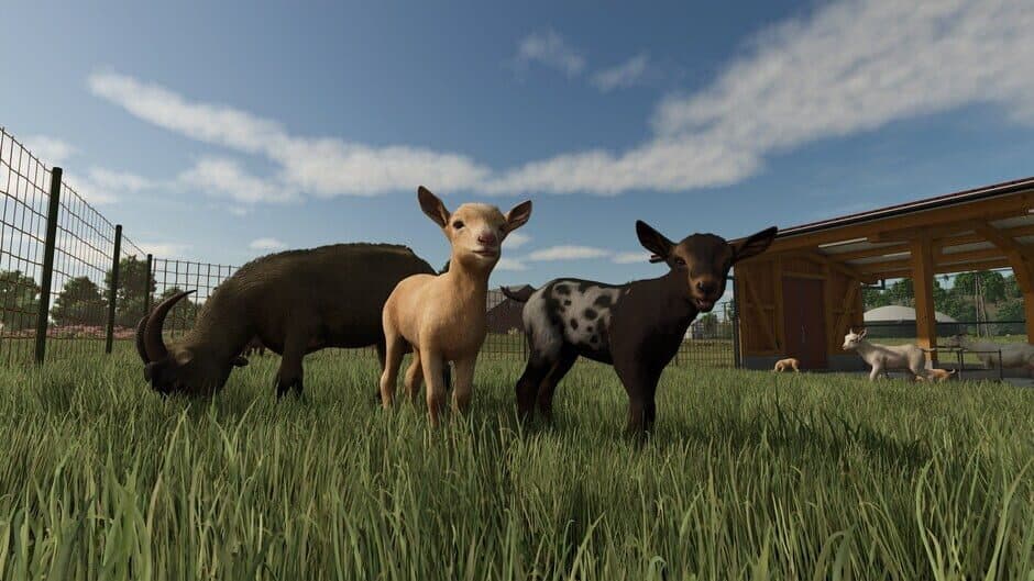 Farming Simulator 25 - Year 1 Bundle screenshot 4