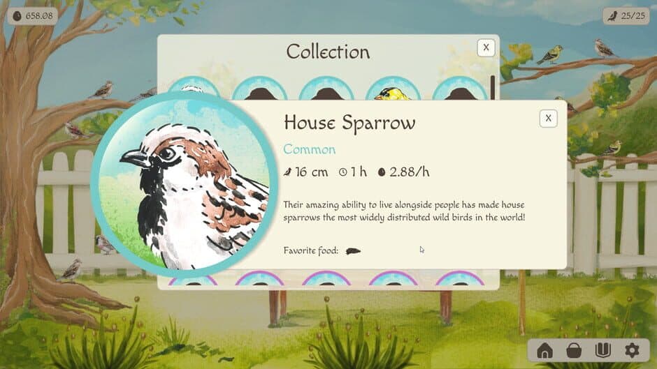 Birdfull screenshot 1
